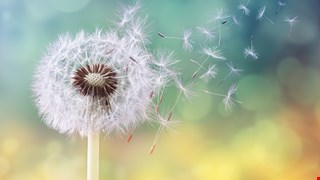 十月流感疫苗開打囉~