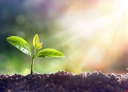 溫熱化療人物版