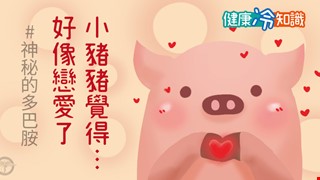 【健康冷知識】小豬豬覺得好像戀愛了！神秘的多巴胺